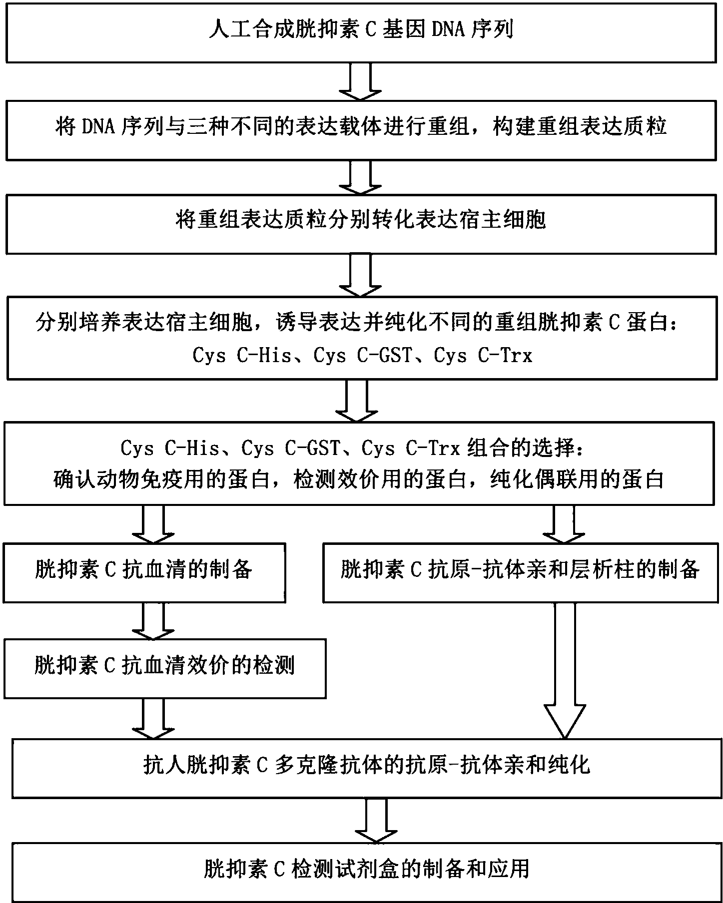 开云体育数据中心